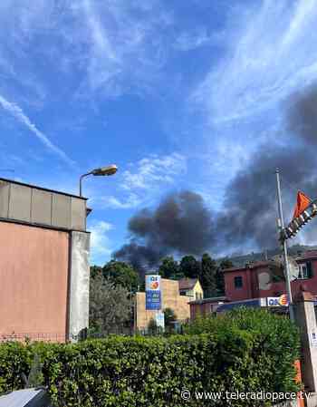 Incendio a Rapallo, una colonna di fumo nella zona di sant'Anna - Teleradiopace
