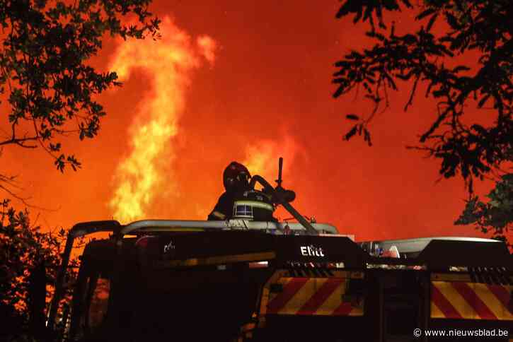 Loois gezin geëvacueerd door bosbranden in Frankrijk: “We hebben de kinderen en de hond gewekt, en zijn onmiddellijk in onze auto gestapt”
