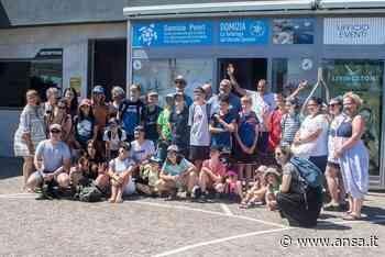Da Berlino a Varcaturo, 25 giovani per salvare tartarughe - Agenzia ANSA