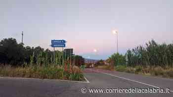 Gizzeria, blitz all'alba: scoperta vasta piantagione di marijuana - Corriere della Calabria