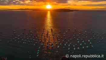 Ischia, l'alba arancio è uno spettacolo: il drone sorvola le barche - La Repubblica