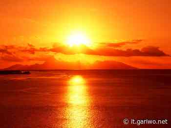 Abbi fiducia nell'alba, non nel dolore - Lettera agli insegnanti [articolo] - Gariwo, la foresta dei Giusti