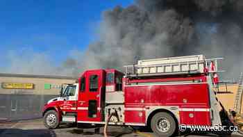 Animals dead after pet store consumed in Steinbach strip mall fire - CBC.ca