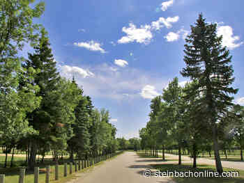 Steinbach planting a variety of trees to minimize risk of pest outbreaks - SteinbachOnline.com