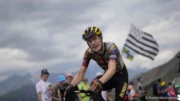 Vingegaard seizes Tour lead after 1st big mountain stage
