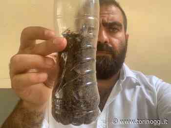 Grimaldi, Frediani e Ghibaudi in visita al carcere delle Vallette: "Blatte, docce rotte e cedimenti strutturali, una vergogna" - TorinOggi.it