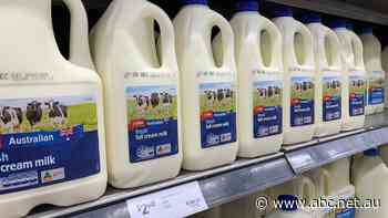 Household budgets squeezed as Coles hikes home-brand milk price