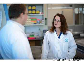 Opinion: A growing number of Calgary companies are becoming tech trailblazers - Calgary Herald