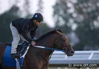 Rich Strike, Early Voting among top 3-year-olds scheduled to run at Saratoga - Daily Racing Form