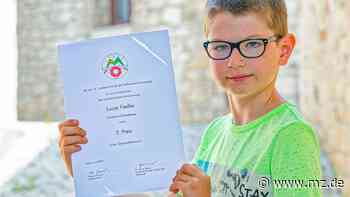 Landeswettbewerb Mathematik: Schüler aus Baalberge hat keine Angst vor Mathe - Mitteldeutsche Zeitung