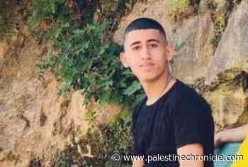 The Martyr Quasi Hamamra and the Need for Trauma-Informed Social Work in Palestine - Palestine Chronicle