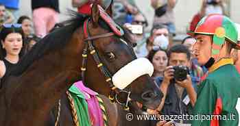 Palio Siena: vince il Drago al fotofinish sulla Torre - Foto - Gazzetta di Parma