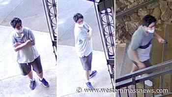 Police looking for man who tried to record girl in Hawaii high school bathroom - Western Massachusetts News