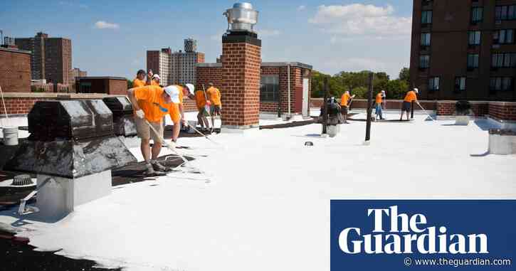Metropolis meltdown: the urgent steps we need to take to cool our sweltering cities