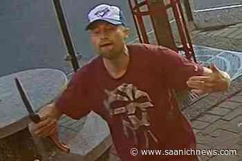 Information sought after weapon brandished in Saanich - Saanich News