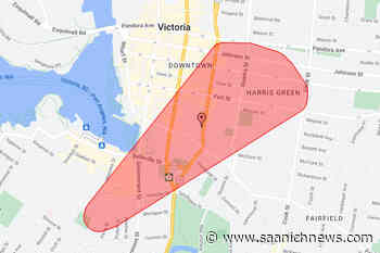 Bird on a wire blamed for power outage in downtown Victoria - Saanich News