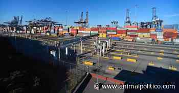 Autoridades de Colima afirman que contenedores robados en Manzanillo no tenían oro y plata - Animal Político