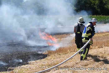 So wirkt sich die Trockenheit in Lahr und Umland aus - Lahr - Badische Zeitung