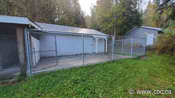 B.C. SPCA closes Quesnel branch indefinitely after 'significant damage' from heavy rainfall - CBC.ca