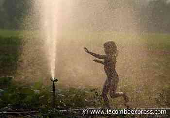 Common-law couples on the rise, Statistics Canada data show - Lacombe Express