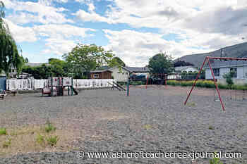 Ashcroft council addresses Mesa Vista Park tree controversy – Ashcroft Cache Creek Journal - Ashcroft Cache Creek Journal