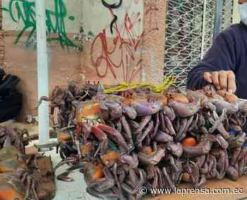 El frío no ayuda a la reactivación económica - Diario La Prensa Riobamba