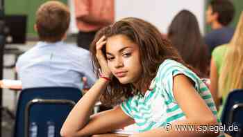 Neues Unterrichtsfach: Zwölf hessische Schulen entdecken das Internet - DER SPIEGEL