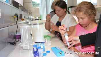 Insektenkuchen für die Gäste - Campus Kulmbach öffnet seine Türen - Frankenpost