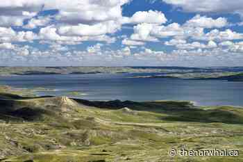 Saskatchewan's $4 billion irrigation project explained - The Narwhal