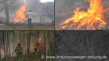 Waldbrände in Westeuropa weiten sich aus