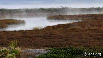 Atmospheric Rivers Help Coastal Wetlands Build Up Sediment - Eos