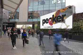 Numan tells men to 'fix their peckers' in OOH campaign