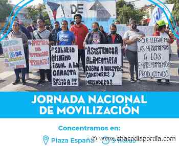 Barrios de Pie-Libres del Sur marchan este jueves por un bono y reapertura del Potenciar Trabajo | CHACO DÍA POR DÍA - Chaco Dia Por Dia