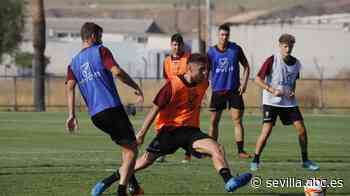 El Córdoba sondea el mercado para cubrir dos fichas libres en la plantilla - abcdesevilla.es