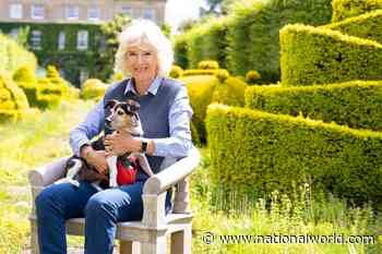 Camilla's Country Life: who is the Duchess of Cornwall? - NationalWorld