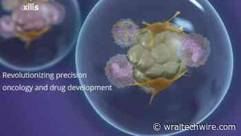 Durham biotech startup Xilis raises $19M for precision cancer therapy, drug discovery - WRAL TechWire