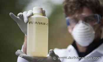Seventh wave underway: High COVID levels in wastewater samples from across Durham - durhamregion.com