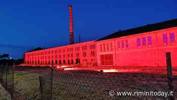 “Bim Street Art. I muri che non ti aspetti”, l'ex Fornace è un laboratorio all'aperto - RiminiToday