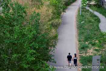 Common-law couples on the rise, Statistics Canada data show - Dawson Creek Mirror