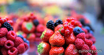 This massive and FREE BerryFest returns to Abbotsford this week - Curiocity