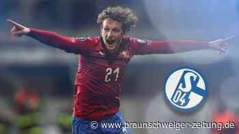 Leihe perfekt: Schalke holt Kral aus Moskau