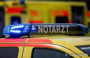 Schwerer Kutschenunfall: Pferde scheuen und schleudern Fahrerin durch die Luft - Passauer Neue Presse - PNP.de