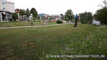 Balinger Gartenschau - So präsentieren sich die Ortsteile - Schwarzwälder Bote