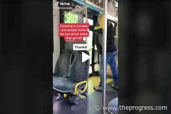 Sorry, but polite BC transit service has TikTok world talking – Chilliwack Progress - Chilliwack Progress