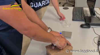 Traffico illecito di sostanze stupefacenti: 12 arresti - LeggiNoci.it