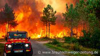 Hitzewelle in Südeuropa: Viele Waldbrände wüten