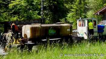 Ohne Gift im Unkraut-Kampf: So ersetzt das Rohrdorfer Zementwerk das gefährliche Glyphosat