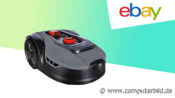 Mähroboter bei Ebay: Roboter für schlanke 379 Euro im Angebot - COMPUTER BILD