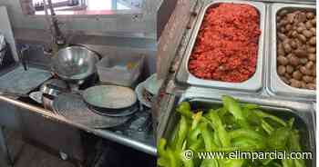 Coepris atiende queja por cucarachas y roedores en café de Ensenada - elimparcial.com