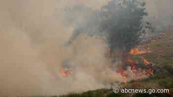 Villages battle wildfires in Portugal; Europe swelters